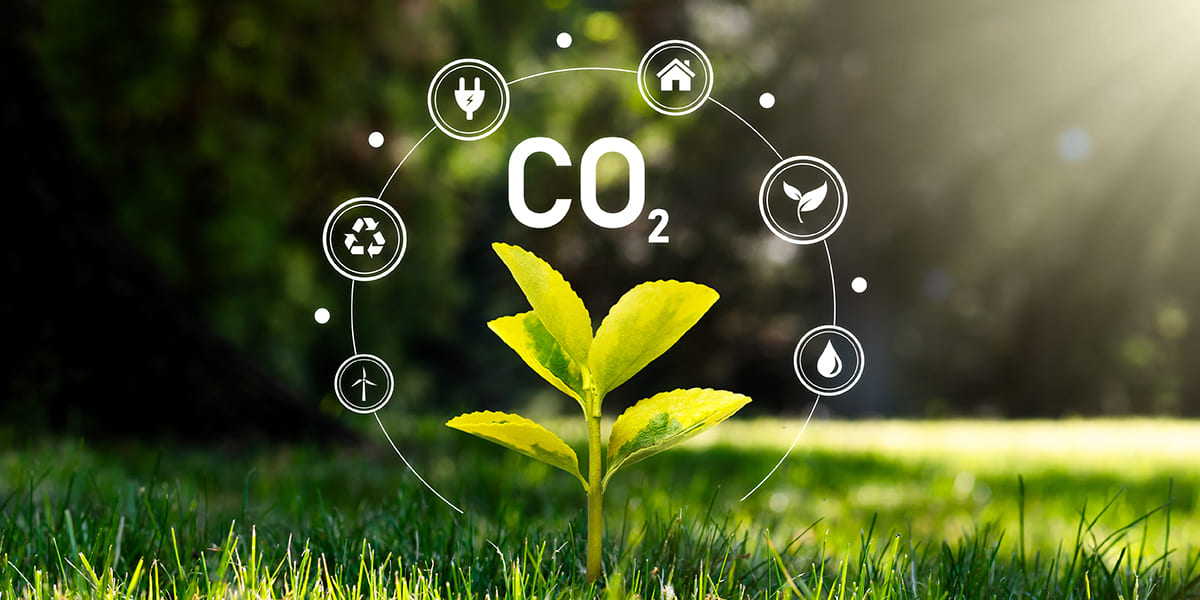 Carbon Footprint Research